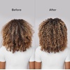 Bio Ionic SMART-X Hair Diffuser Attachment – Custom Fit for SMART-X Dryer – Defines Curls, Controls Frizz & Enhances Volume for Curly and Wavy Hair